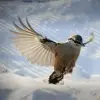 Саша Сашин