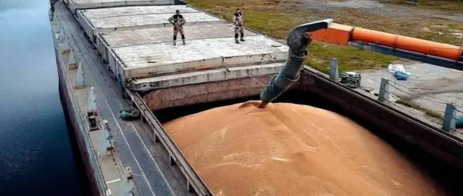 Экономист объяснил причины снижения экспорта российской пшеницы