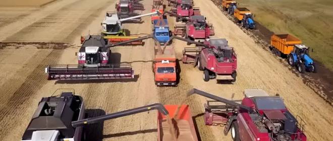 Рыночек порешает: может ли Россия начать закупать пшеницу за рубежом?