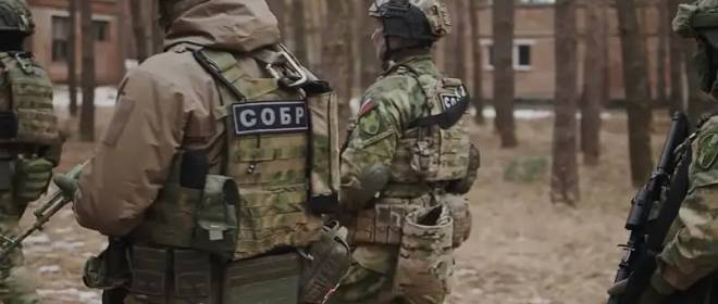 Guarda Russa, empresas de segurança privada ou “armas de cano curto”: como pode a população proteger-se dos terroristas?