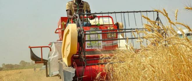 Le Monde: мировой голод теперь вполне возможен