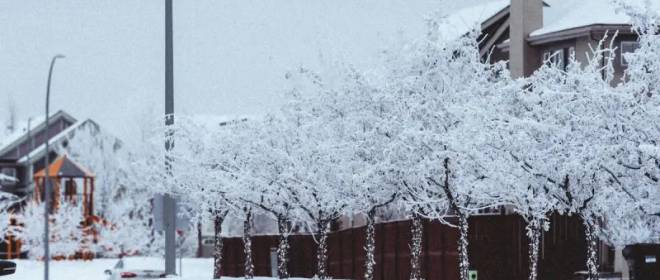 «Трудные решения»: граждане США отключают электричество и тепло в домах в морозы