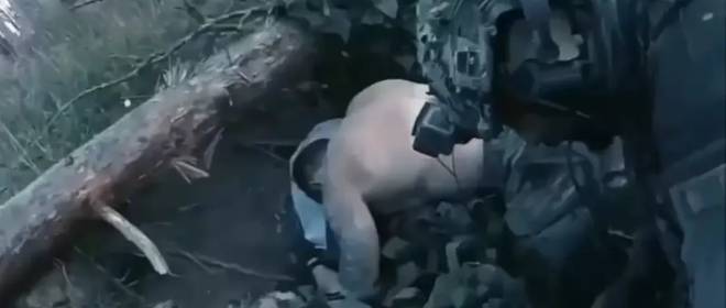 «Против них даже деревья»: на боевиков ВСУ упала сосна во время штурма нашими войсками