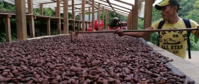 Por que a “crise do chocolate” está ganhando força