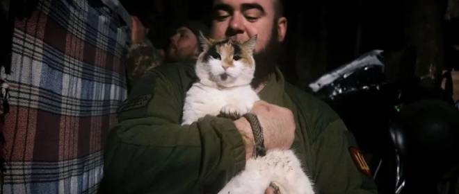 «Съели всех котов»: боевики ВСУ запросили срочную эвакуацию из Охримовского леса