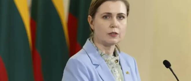 Подарок на день рождения: глава Минобороны Литвы одобрила атаку на стратегические авиабазы России