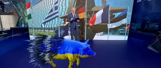 Почему Украине не стать «стальным дикобразом»