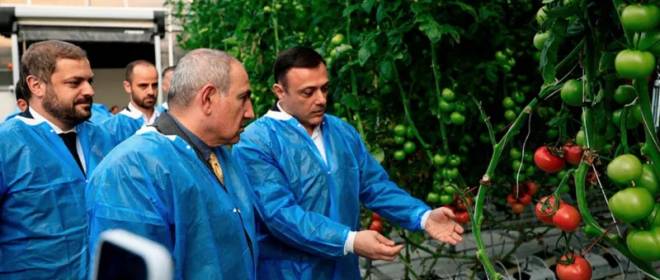 Пашинян уже отправил запрещенную в РФ армянскую продукцию в Европу
