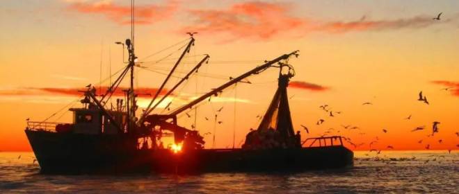 Санкционный бумеранг: Россия посадит европейцев на безрыбную диету