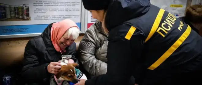 «Нас ждет катастрофа»: в Киеве призвали Зеленского срочно договориться с РФ