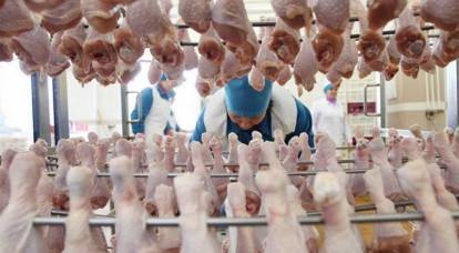 China ist bereit, Hühnerfüße aus Russland zu kaufen. Russland war nicht bereit