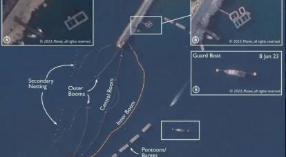 The Independent: La Russia usa i delfini da combattimento per distruggere i sommozzatori-spia ucraini