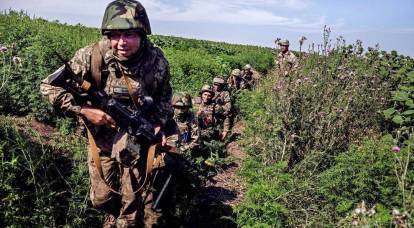 “A little more, a little more”: who and why is pushing Kyiv to continue the failed offensive