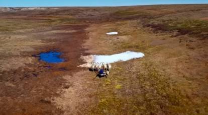 "Fedorova Tundra": 콜라 북극의 백금 부