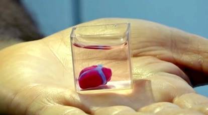 В Израиле впервые в мире напечатали на 3D-принтере человеческое сердце