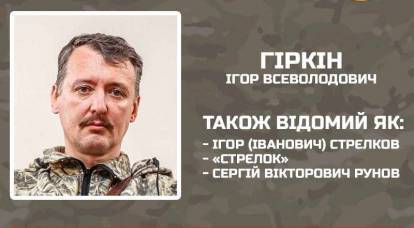 Kyiv is ready to give 100 thousand dollars to those who capture Igor Strelkov