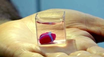 이스라엘 최초의 3D 프린팅 인간 심장
