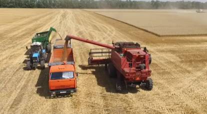 Российская пшеница может вырасти в цене до 200 долларов за тонну
