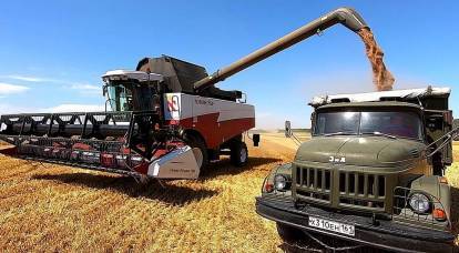 "Kil ayaklı dev": Rusya bir tarım süper gücü mü?