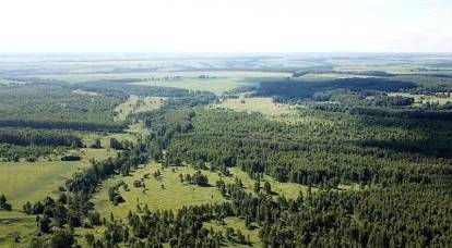 "Terk edilmiş" hektar: Özbeklere değil, Ruslara toprak vermek neden daha iyi?