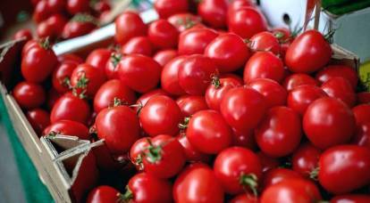Турки, ожидавшие разрешения на ввоз помидоров в Россию, получили еще и запрет на импорт перца