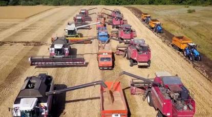 Россия удержит превосходство над США в производстве пшеницы