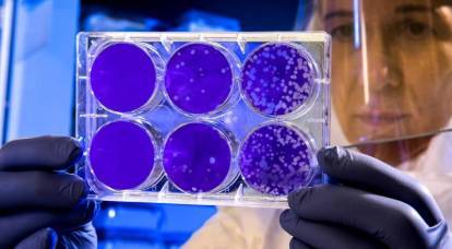Секретные документы: Лаборатория в Ухане создавала четыре коронавируса в интересах США