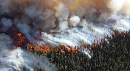 Como cuatro regiones de Moscú: el área de incendios forestales en la Federación de Rusia puede establecer un récord absoluto