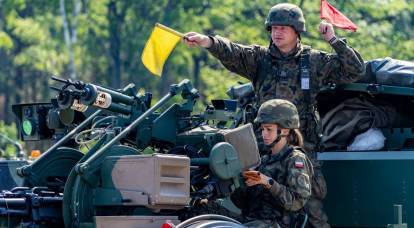 "Vi ser ut som ryssar": polackerna talade om situationen i sin armé
