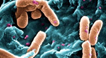 Superbacteria take over the world: how dangerous are they for humanity
