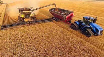 Doanh nghiệp nông nghiệp Nga: thu hoạch kỷ lục giữa lệnh trừng phạt