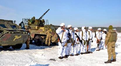 Полномасштабное наступление ВСУ может поставить точку в вопросе Донбасса