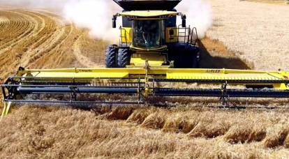 Убыточный сверхурожай: Россия упускает лидерство на мировом рынке зерна