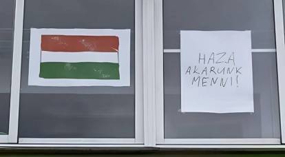 В Закарпатье положительно отреагировали на призыв из Будапешта присоединить регион к Венгрии