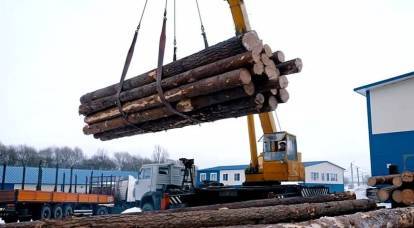 Putin startete eine Operation zur Rettung des russischen Waldes