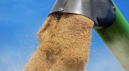 Французский министр: После победы над Украиной, РФ будет контролировать треть мирового экспорта пшеницы