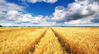 Polnische Bauern lehnten ukrainisches Getreide ab