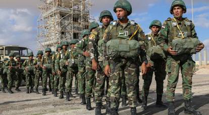В Египте предлагают ввести войска в Ливию и устроить Турции кузькину мать