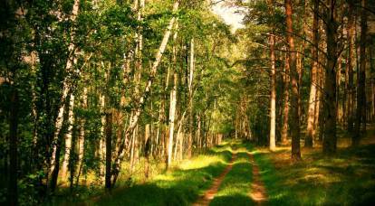 פוטין הגן על היער הרוסי בחוק מיוחד