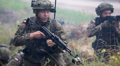 Polska legosoldater som kämpade på den ukrainska försvarsmaktens sida började förföljas i deras hemland