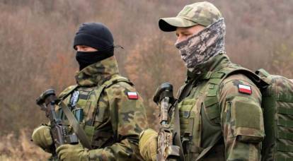 Наёмники из Польши называют военнослужащих ВСУ «быдлом» и «пушечным мясом» – польский депутат