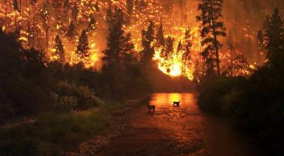 Rusya, bu yaz eşi benzeri görülmemiş orman yangınları öngördü