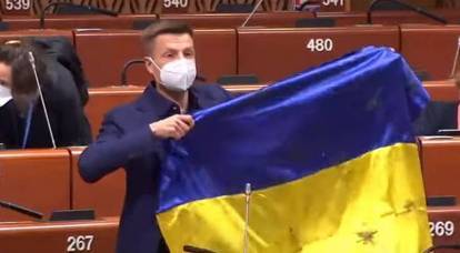 В Совете Европы принесли России извинения за провокацию украинского депутата