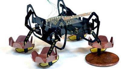 Robot hamamböceği HAMR tavanlarda ve duvarlarda sürünmeyi öğretti