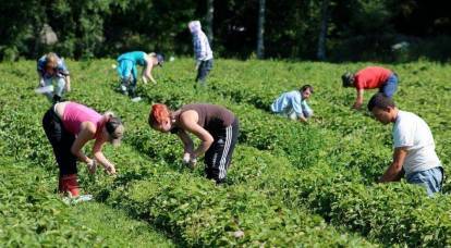Polonyalı çiftçi Ukraynalı göçmenlerle skandal düzenledi