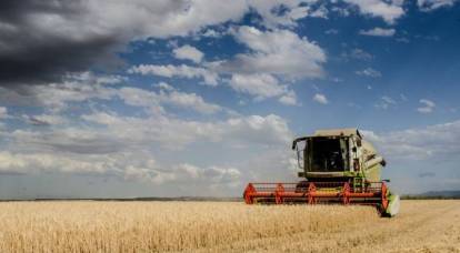 Media statunitensi: tra 8 anni, la maggior parte del mondo dipenderà dal grano russo