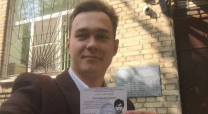 «Нефиг летать в Крым»: кандидат от Яблока о посадке самолета в Подмосковье