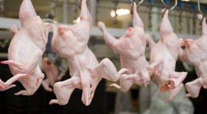 No se permitirá el transporte de carne estadounidense a través de Rusia