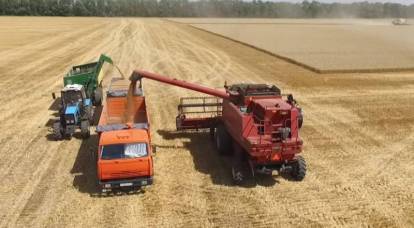 Bloomberg: Действия России приведут к росту цен на пшеницу