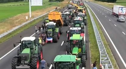 Agricultores europeus protestam contra 'iniciativas ambientais'
